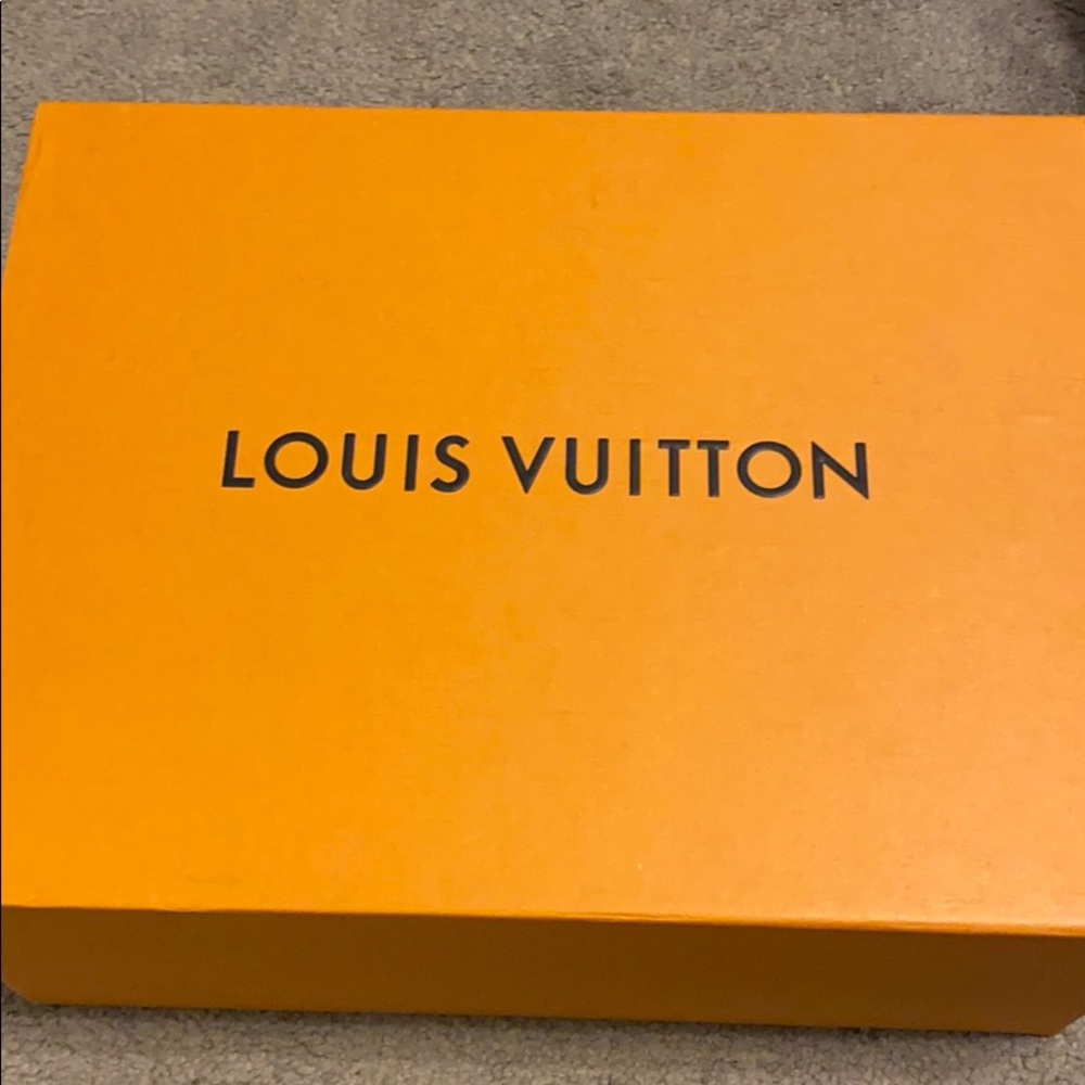 Louis Vuitton sneakers